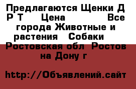 Предлагаются Щенки Д.Р.Т.  › Цена ­ 15 000 - Все города Животные и растения » Собаки   . Ростовская обл.,Ростов-на-Дону г.